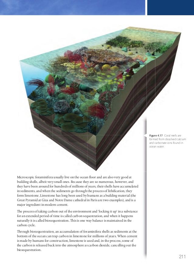 Bscs biology an ecological approach pdf